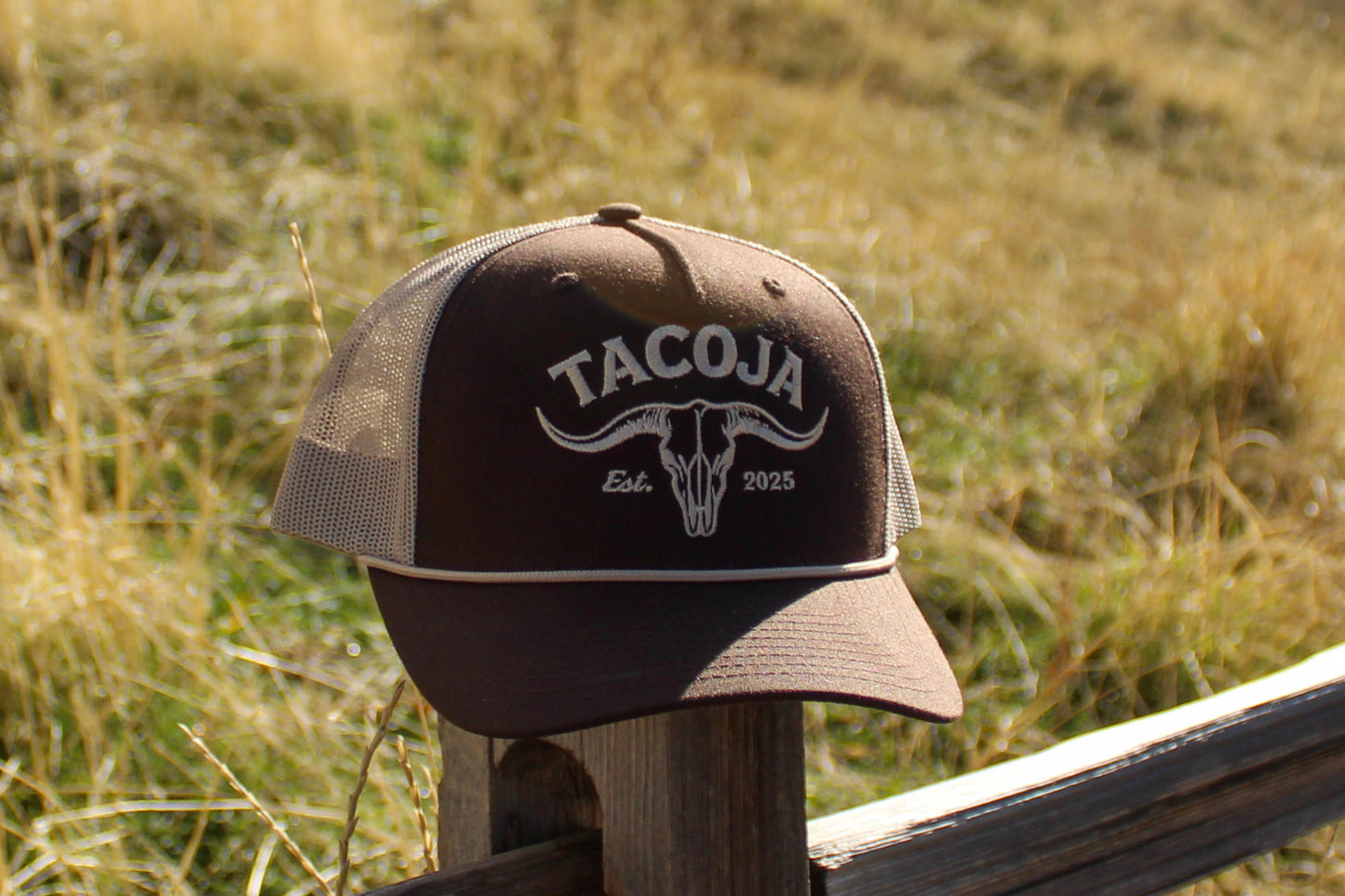 Brown + Beige Longhorn Snapback