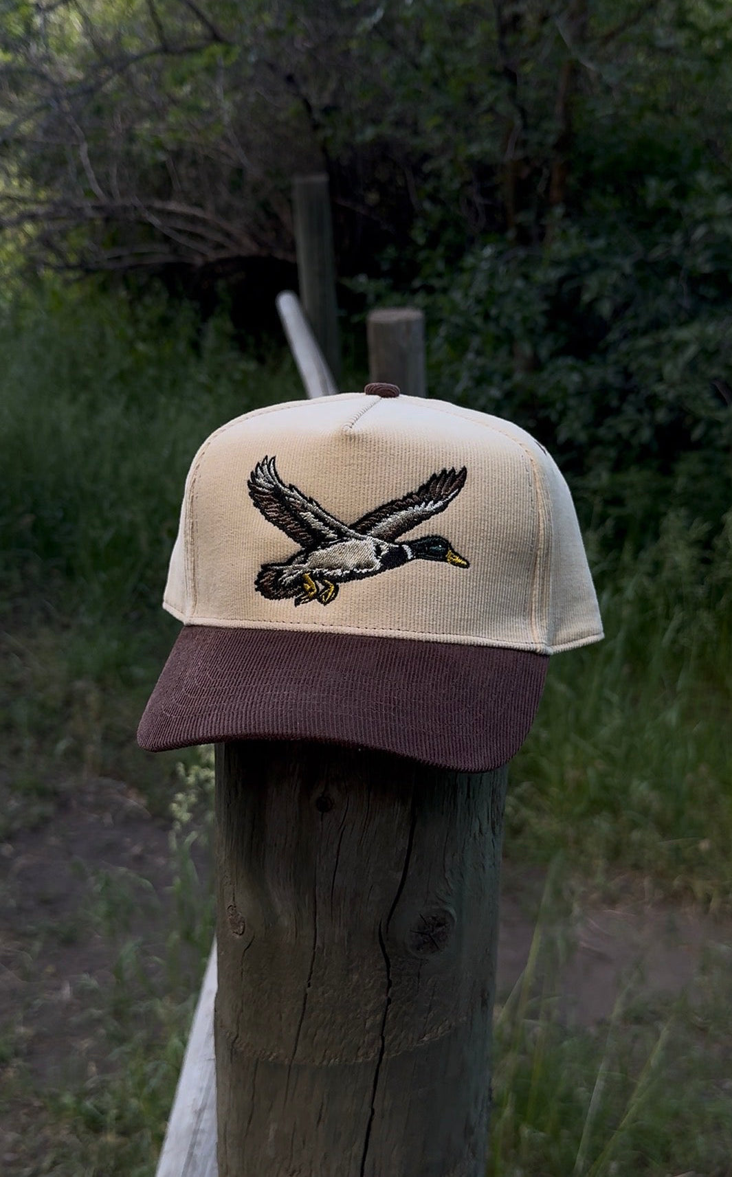 The Mallard Corduroy