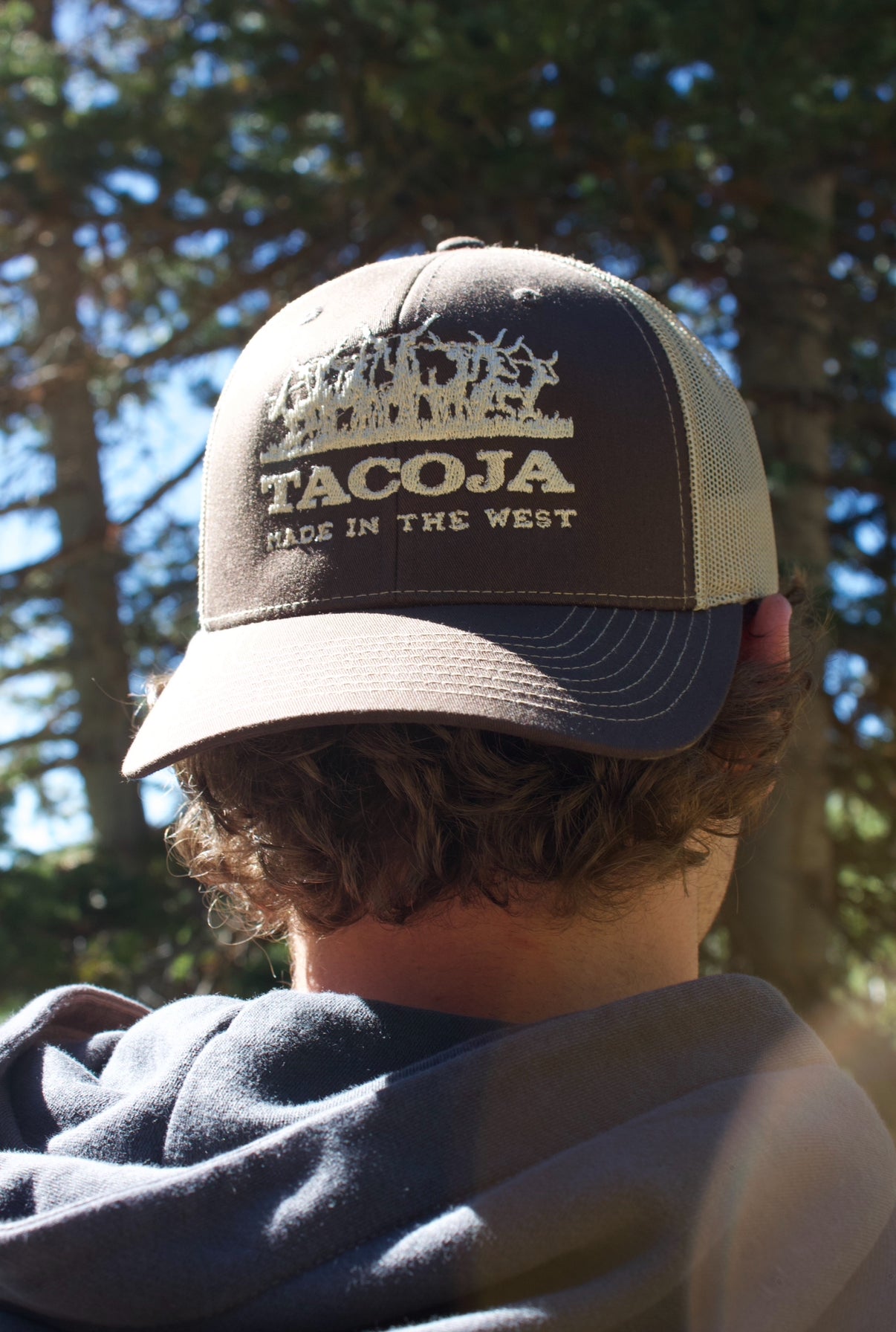 Brown Longhorn Hat