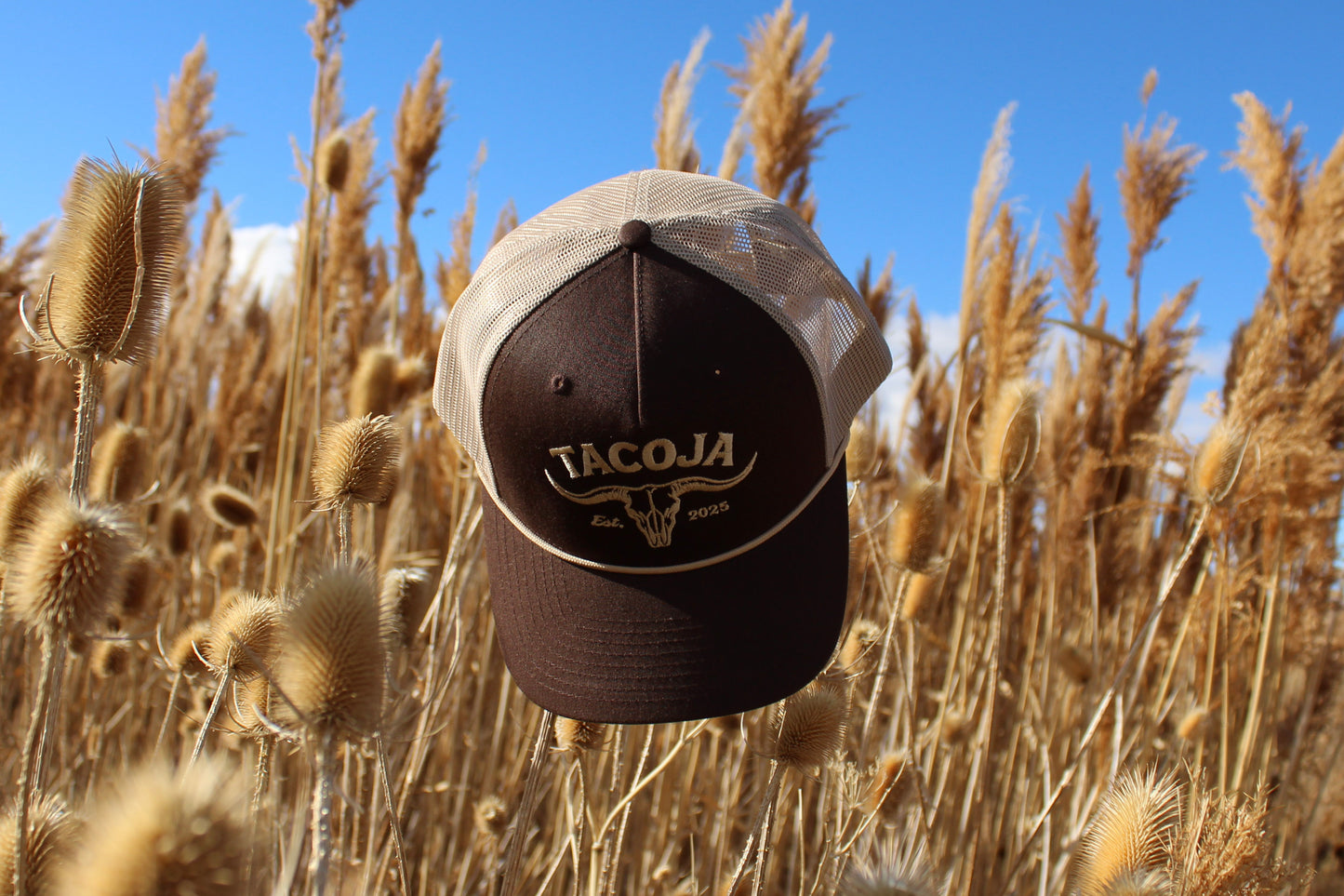 Brown + Beige Longhorn Snapback